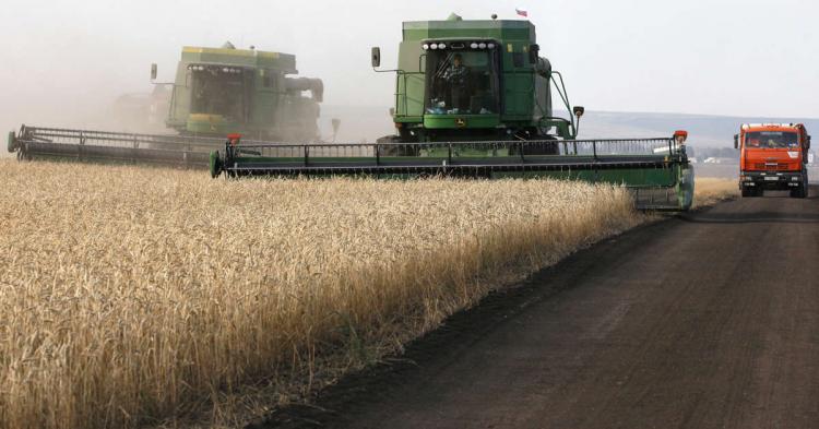 Francisco pide a los 'hermanos rusos' que reanuden los acuerdos acerca de los cereales