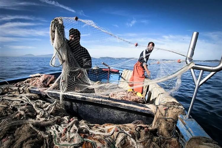 Francisco pidió por quienes trabajan en el mar Francisco pidió por quienes trabajan en el mar
