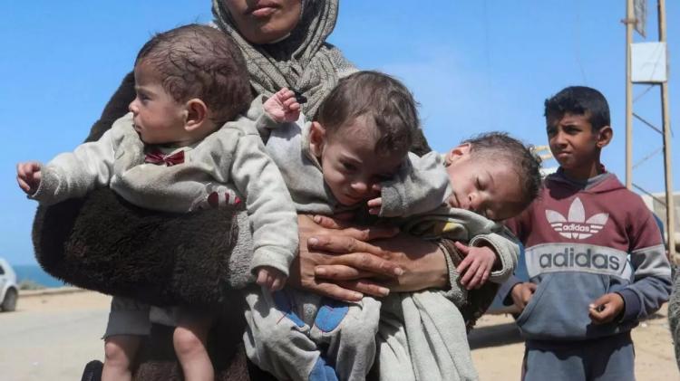 Gaza: 'Pese a la situación catastrófica, hay margen para una tregua' Gaza: 'Pese a la situación catastrófica, hay margen para una tregua'