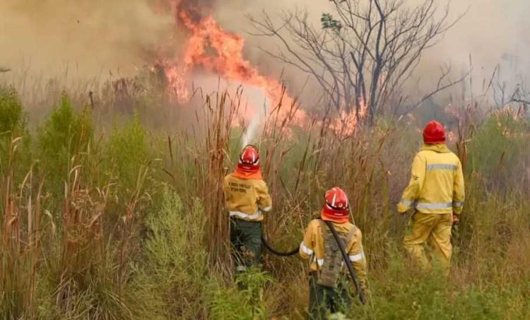 Incendios: Destinan ayuda por catástrofe a tres diócesis correntinas Incendios: Destinan ayuda por catástrofe a tres diócesis correntinas