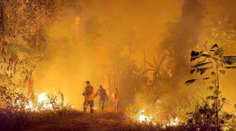 Incendios en Bolivia: 'Vivimos un desastre ecológico', lamentan los obispos Incendios en Bolivia: 'Vivimos un desastre ecológico', lamentan los obispos