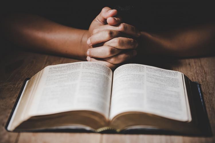 La Biblia ya fue traducida a 743 idiomas La Biblia ya fue traducida a 743 idiomas