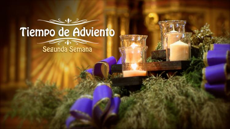 La misa del segundo domingo de Adviento, por TV, radio y streaming La misa del segundo domingo de Adviento, por TV, radio y streaming