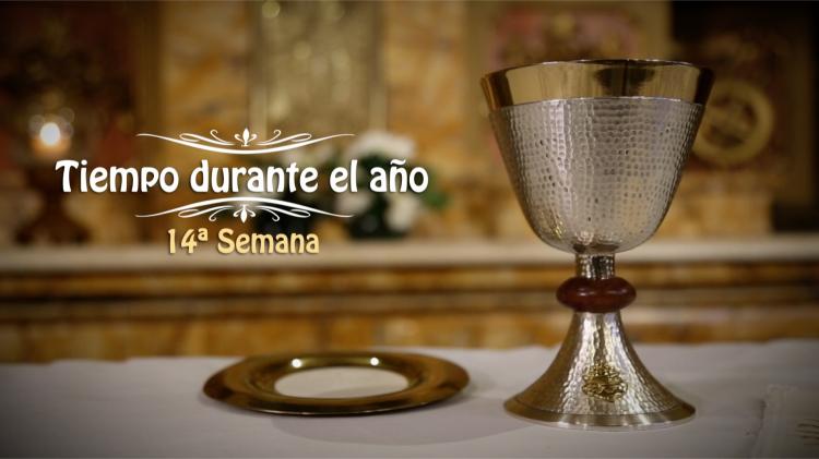 Transmisión de la misa del domingo por diferentes plataformas Transmisión de la misa del domingo por diferentes plataformas