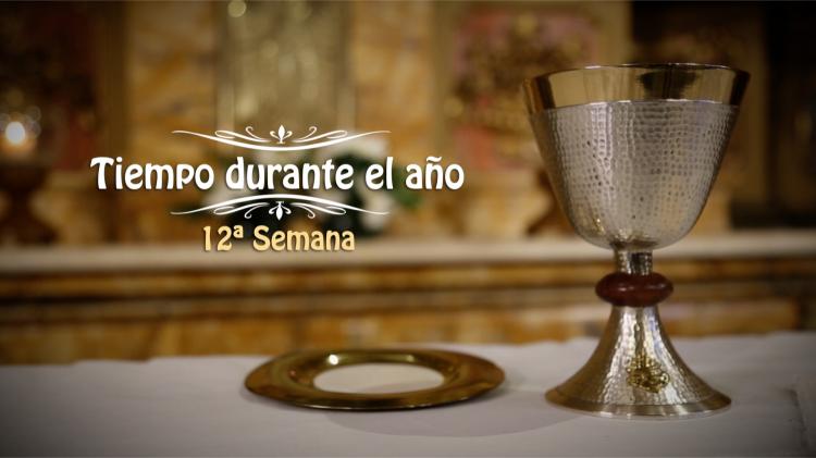 Transmisión de la misa dominical por diferentes plataformas Transmisión de la misa dominical por diferentes plataformas