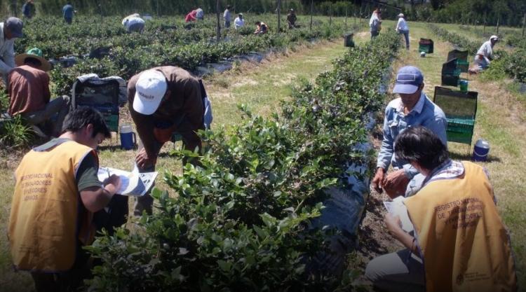La Pastoral Social del NOA preocupada por la situación laboral en la región La Pastoral Social del NOA preocupada por la situación laboral en la región