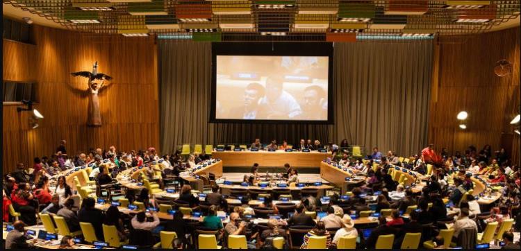La Repam presentó ante la ONU el informe de derechos vulnerados en la Amazonía La Repam presentó ante la ONU el informe de derechos vulnerados en la Amazonía