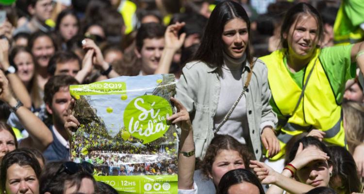 Los obispos españoles animan a movilizarse en favor de la familia y la vida Los obispos españoles animan a movilizarse en favor de la familia y la vida