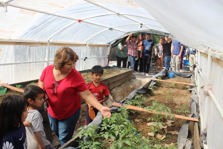 Los salesianos instruyen a niños y jóvenes en la sustentabilidad ambiental Los salesianos instruyen a niños y jóvenes en la sustentabilidad ambiental