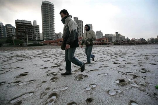 Mar del Plata: comunicado ante la muerte de una persona en situación de calle