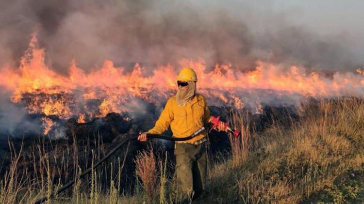Mons. Lozano y los incendios: "Que el dolor nunca nos sea indiferente" Mons. Lozano y los incendios: "Que el dolor nunca nos sea indiferente"