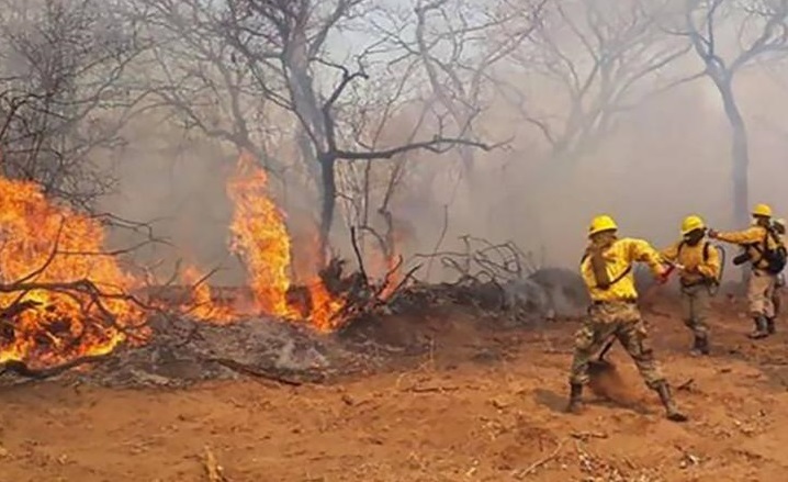 Más de 15.000 personas sumaron donaciones a Cáritas por los incendios Más de 15.000 personas sumaron donaciones a Cáritas por los incendios