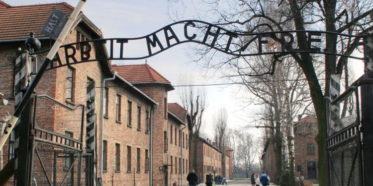 Memoria del Holocausto: el Papa exhortó a erradicar la 'plaga del antisemitismo' Memoria del Holocausto: el Papa exhortó a erradicar la 'plaga del antisemitismo'