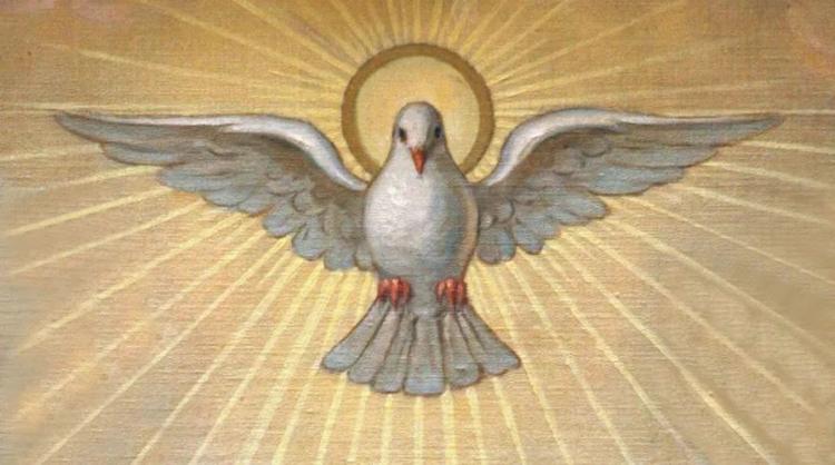 Mons. Castagna: 'La santidad es obra artesanal exclusiva del Espíritu'