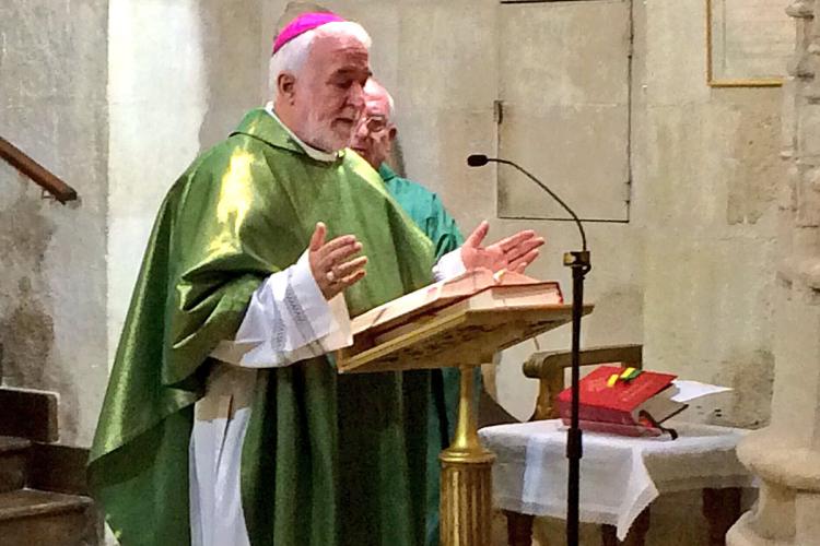 Mons. Conejero invitó a ser sal y luz en defensa de la dignidad humana