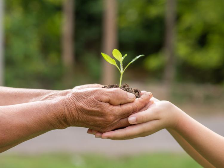 Mons. Ojea pídió ser responsables en el cuidado del planeta y de la humanidad