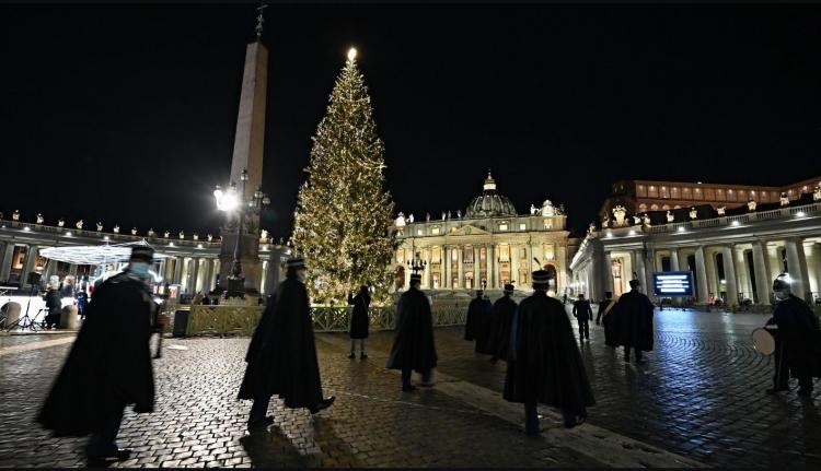 Navidad: el sábado inaugurarán el pesebre y el árbol en la Plaza de San Pedro Navidad: el sábado inaugurarán el pesebre y el árbol en la Plaza de San Pedro