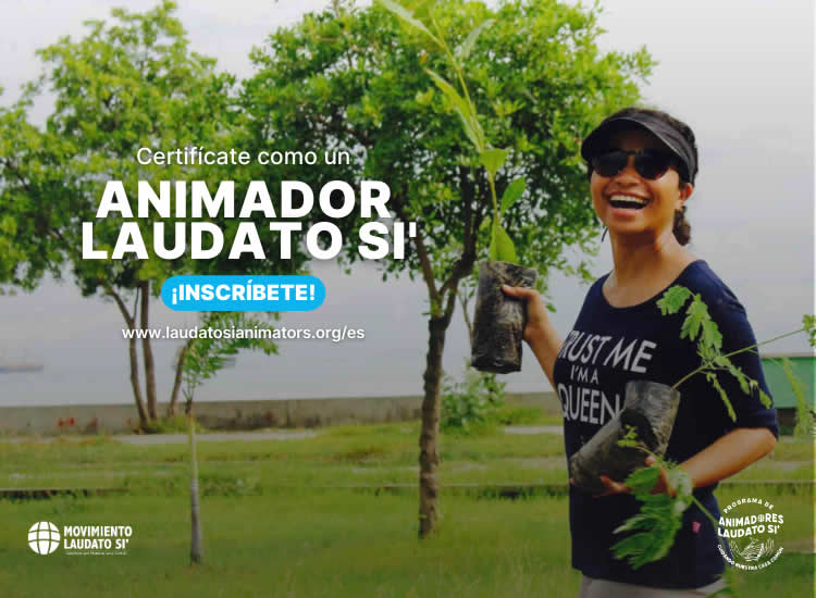 Nueva edición del Curso de Animadores Laudato Si' Nueva edición del Curso de Animadores Laudato Si'