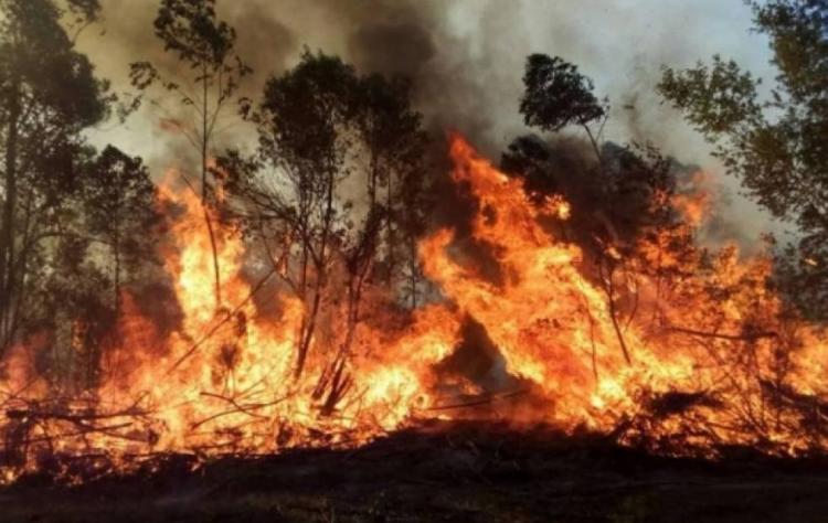 Oración y ayuda de los correntinos ante los incendios que arrasan con la provincia Oración y ayuda de los correntinos ante los incendios que arrasan con la provincia