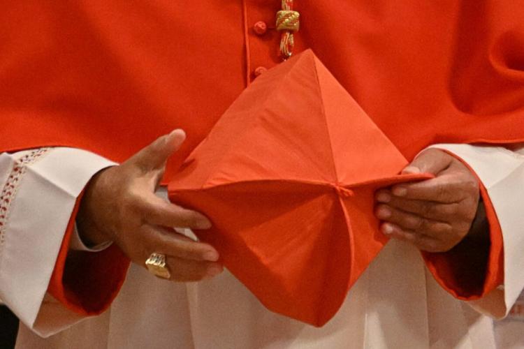 ¿Quienes son los nuevos cardenales creados por el Papa? ¿Quienes son los nuevos cardenales creados por el Papa?