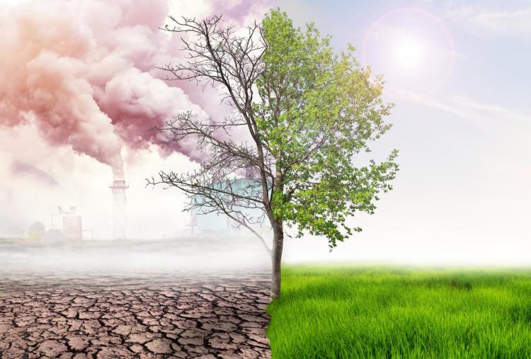 Seminario del CAEEM: 'Cambio climático y su impacto en salud' Seminario del CAEEM: 'Cambio climático y su impacto en salud'