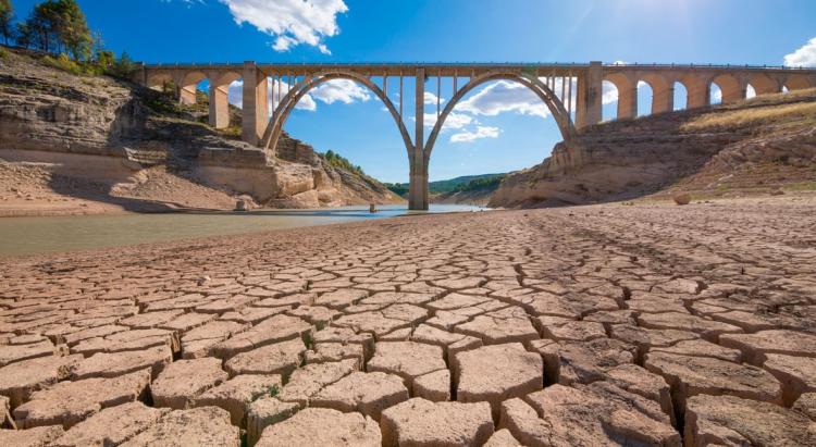 Sequía en España: Los obispos rezan pidiendo por las lluvias Sequía en España: Los obispos rezan pidiendo por las lluvias