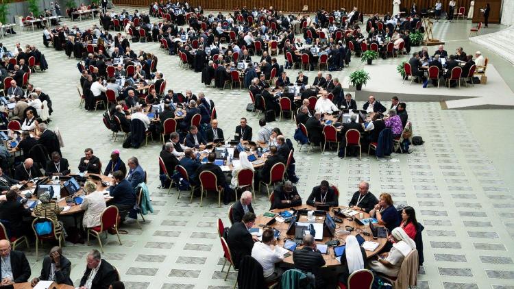 Sínodo: un 'plan de trabajo' para el proceso de seguimiento Sínodo: un 'plan de trabajo' para el proceso de seguimiento