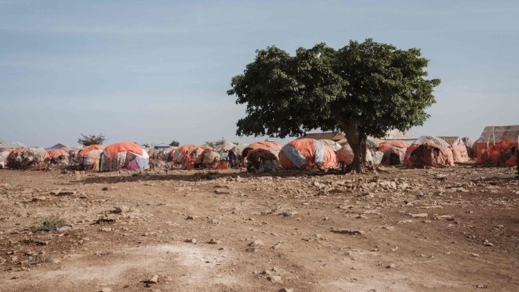 Solidaridad con Somalia y misericordia para Ucrania, rogó el Papa Solidaridad con Somalia y misericordia para Ucrania, rogó el Papa