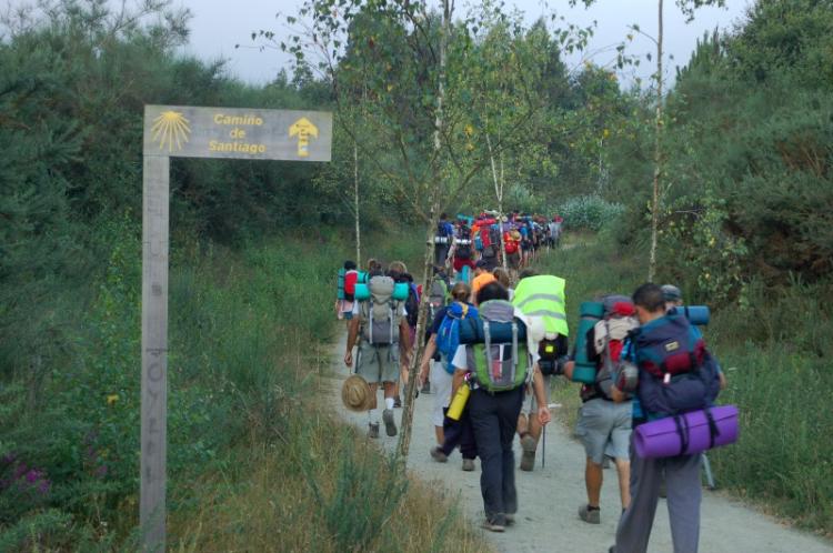 Un año de "récords" para el Camino de Santiago Un año de "récords" para el Camino de Santiago