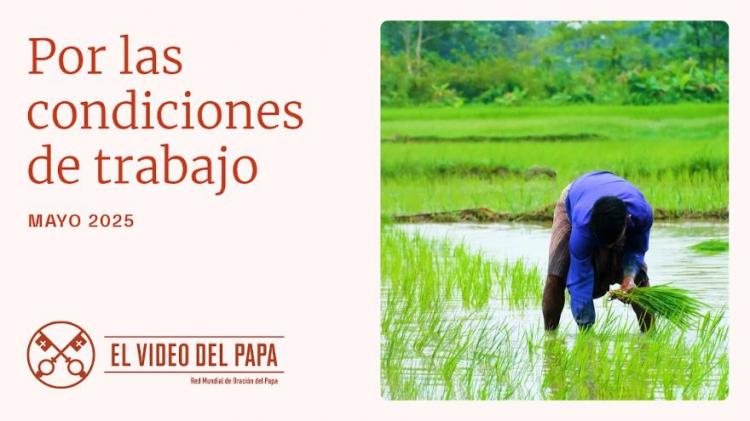 Un trabajo digno para todos: el mensaje de los últimos tres papas