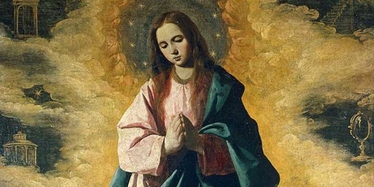 Vaticano: el 4 de noviembre presentarán el documento 'Mater Populi Fidelis' Vaticano: el 4 de noviembre presentarán el documento 'Mater Populi Fidelis'