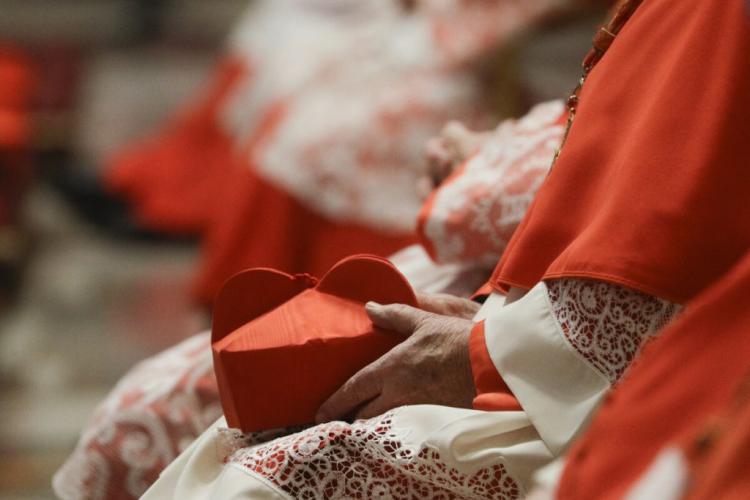 Vaticano: primera reunión del nuevo consejo cardenalicio que asesora al Papa Vaticano: primera reunión del nuevo consejo cardenalicio que asesora al Papa