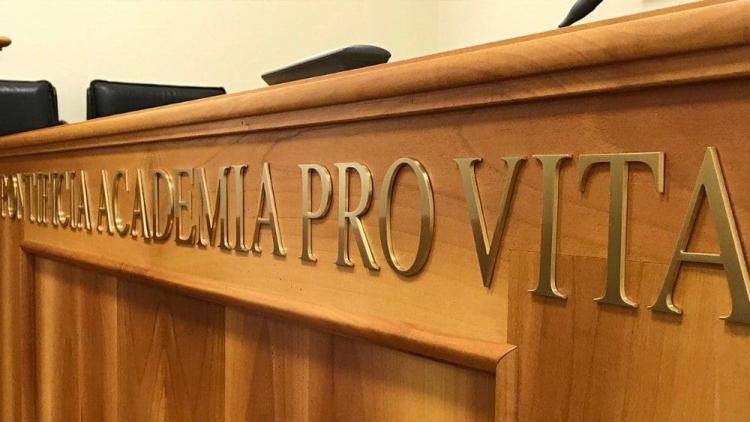 Vaticano: Es necesario un debate no ideológico sobre la protección de la vida Vaticano: Es necesario un debate no ideológico sobre la protección de la vida